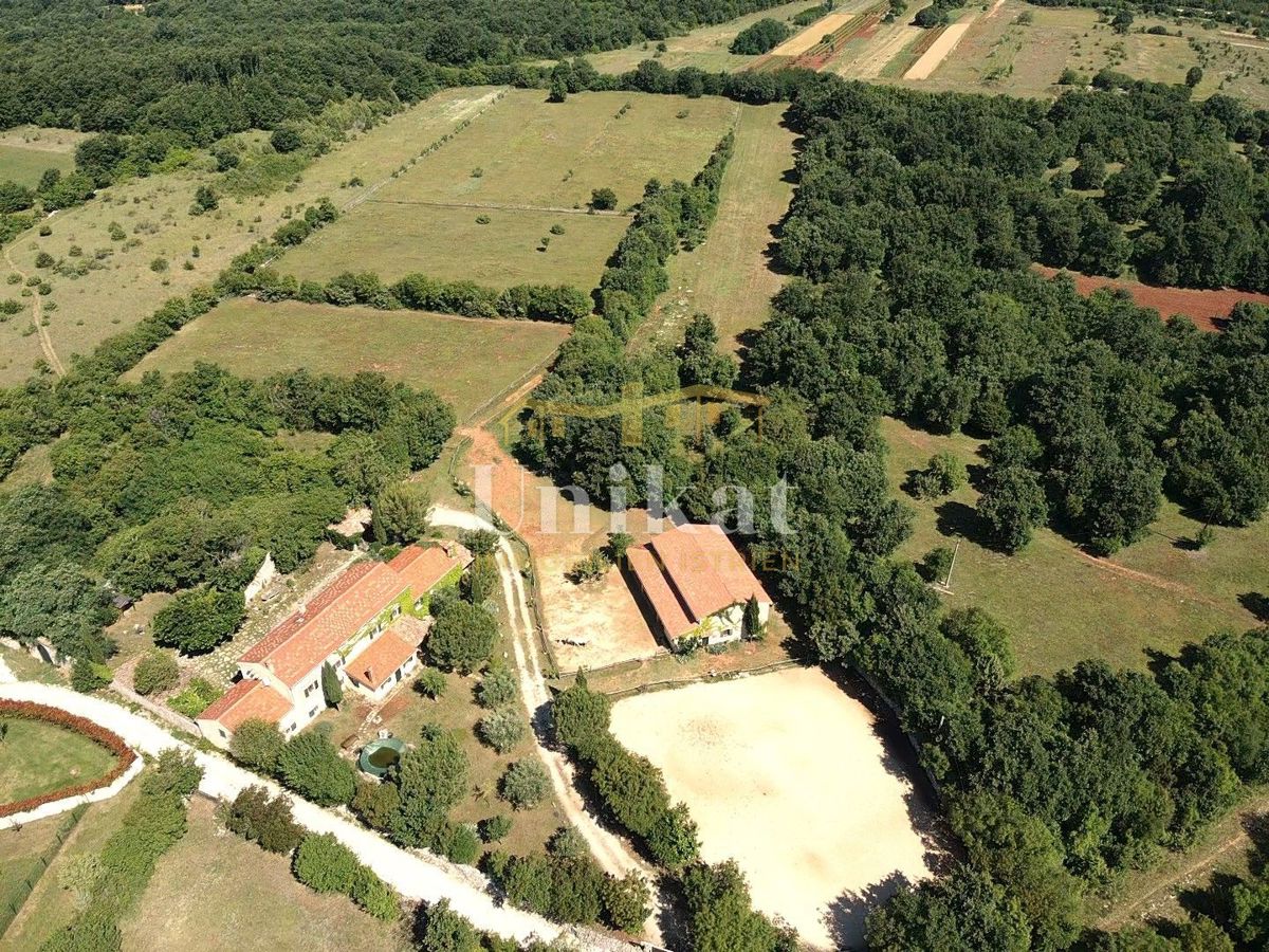 Avtentično posestvo s kamnito hišo in velikim zemljiščem